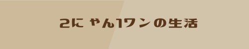 2にゃん1わんの生活